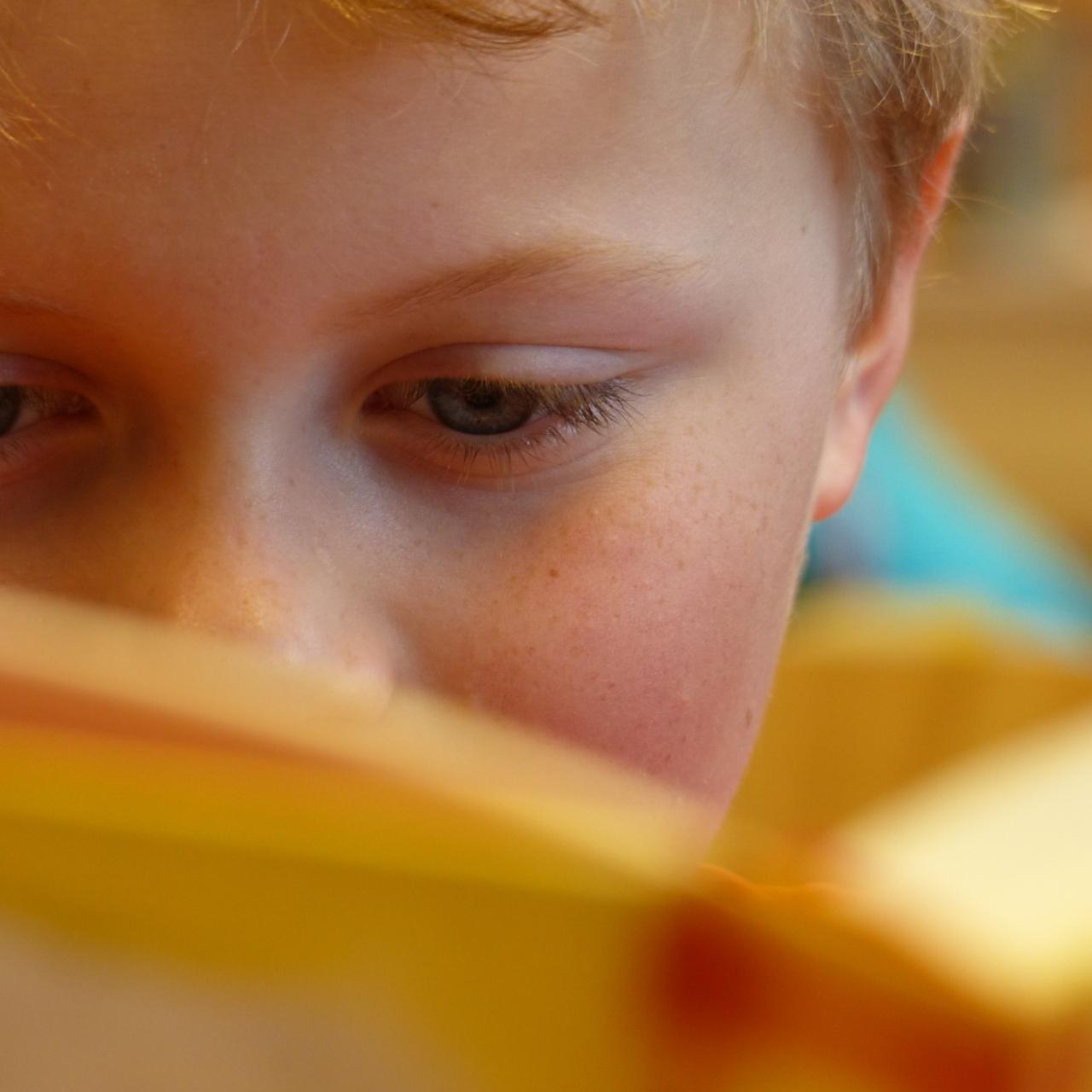 Bub liest ein Buch. Buch verdeckt das halbe Gesicht.